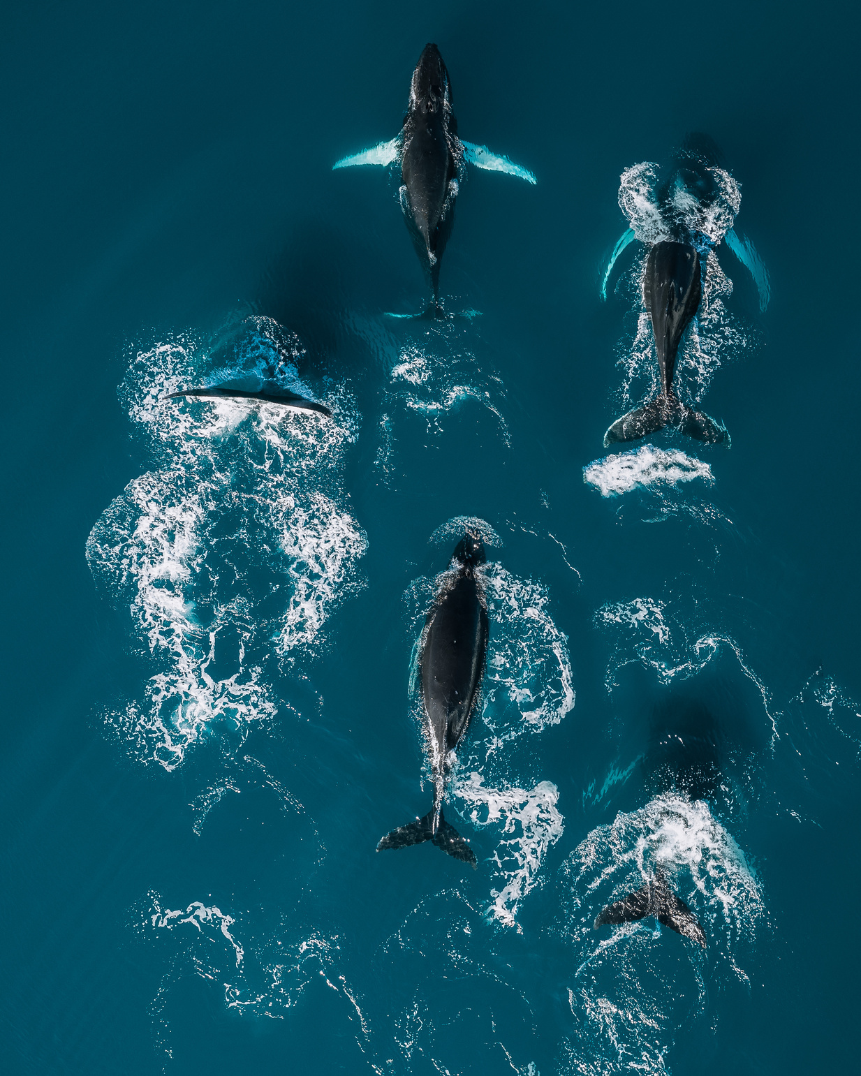 Ocean Impact